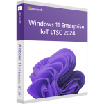 Licență Windows 11 Enterprise 2024 IoT LTSC